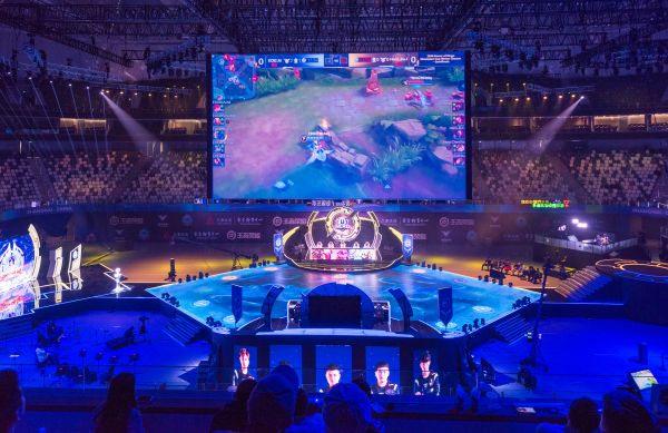 在众多新加 在众多新加