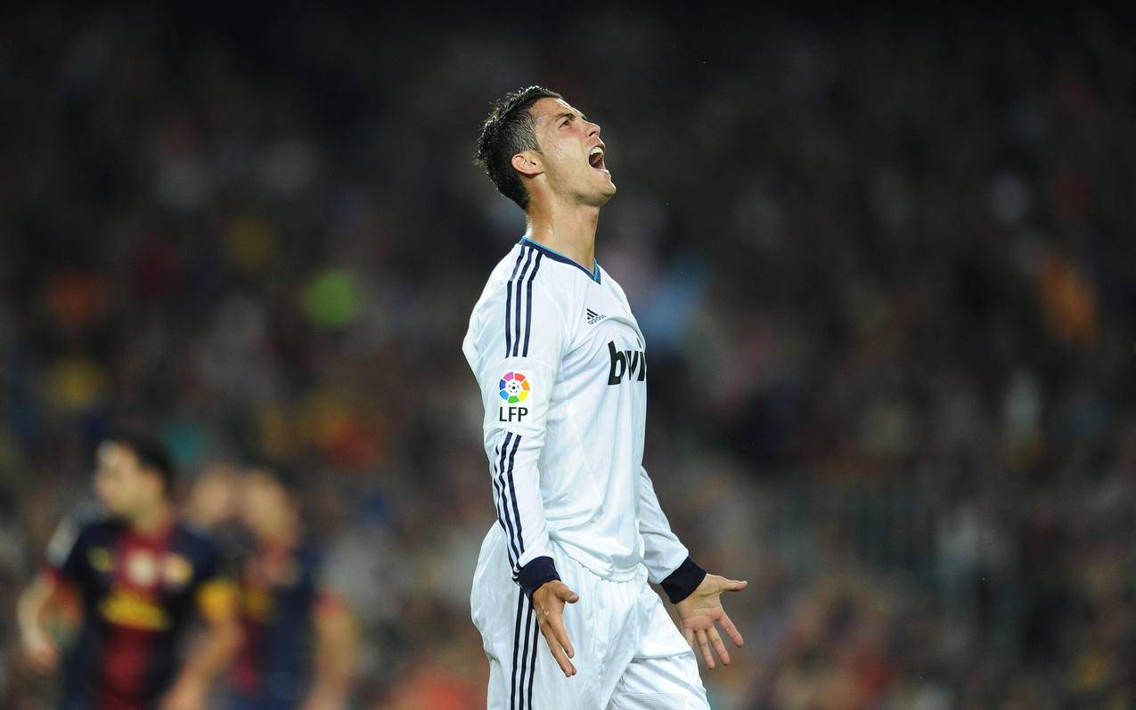 回归到可验 回归到可验